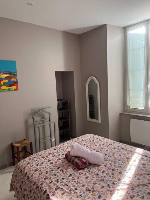 Superbe Appartement Plein Centre Millau Kültér fotó